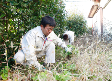 こちらは草刈隊。「うわーよく繁ってるわ」 「蚊の多い夏じゃなくて助かりましたね」